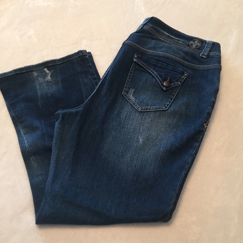 Lane Bryant distressed denim jeans, SO cute!
